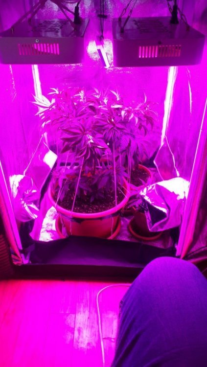 received_10215692028515129.jpeg