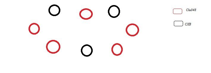 schema.jpg.c5eb47808943d223411ecd951dad1f3b.jpg