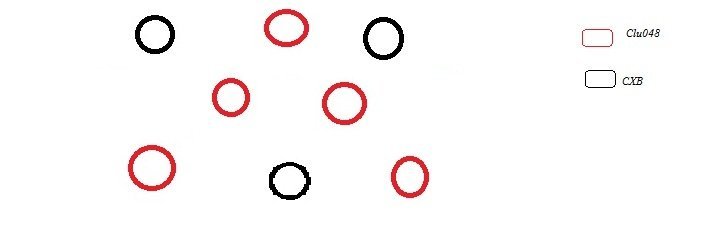 schema.jpg.fc8bbf20f0919af00fd99372a2394e6a.jpg