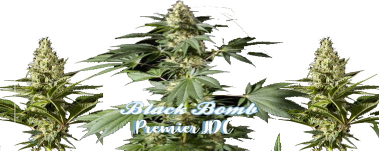 signature.png.43016d5a32d4377bfcc504b40661ae30.png
