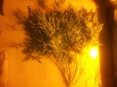 20130407_215619.jpg