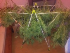 20130407_221549.jpg