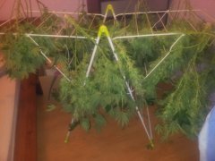 20130407_221552.jpg