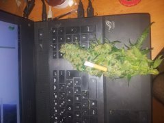 20130408_013739.jpg