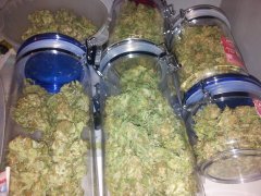 20130420_145202.jpg