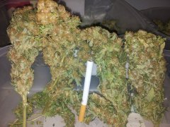 20130420_145323.jpg
