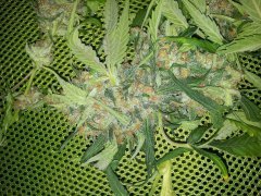 20130421_194053.jpg