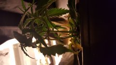 20180202_075041.jpg