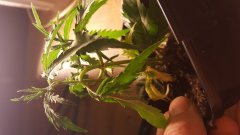 20180202_075112.jpg