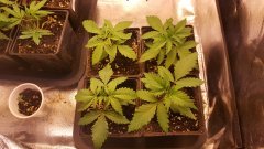 20180207_074547.jpg