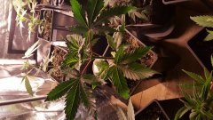 20180226_150509.jpg