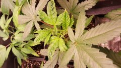 20180228_075749.jpg