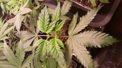 20180228_075819.jpg