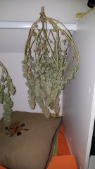 20180228_080023.jpg