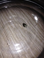 Germination M2S 4e jour