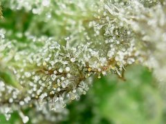Wed Feb 07 14-39-34.jpg