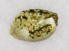 Critical Mass CBD