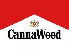 cannaweed malbak