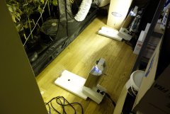 Test des 2 nouvelles gavita (2700 watt ^^)