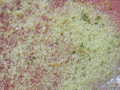 DSCF0088.JPG