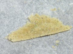 DSCF0098.JPG