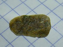 DSCF0160.JPG