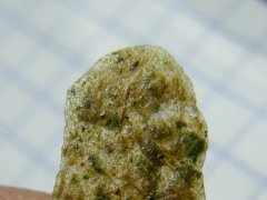 DSCF0162.JPG