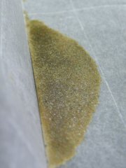 DSCF0271.JPG