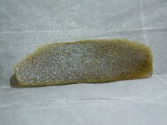 DSCF0273.JPG