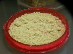 DSCF0284.JPG