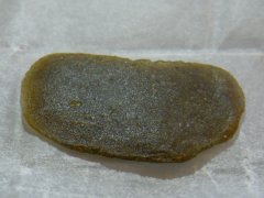 DSCF0295.JPG