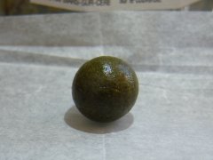 DSCF0308.JPG