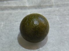DSCF0310.JPG