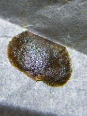 DSCF0322.JPG