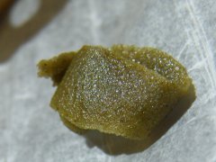 DSCF0352.JPG
