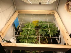 No-Till Cycle 3