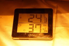 temp_1.JPG