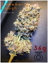 Strawberry Cough pheno2