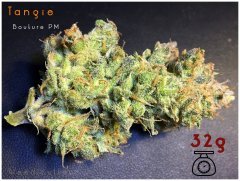 Tangie
