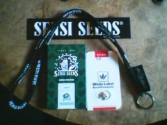 Graines Sensi et White Label avec cadeaux