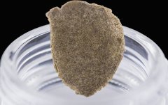 Sour Tangie #6 (iceolator 25 micron)