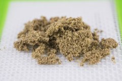 Sour Tangie #6 (iceolator 25 micron)