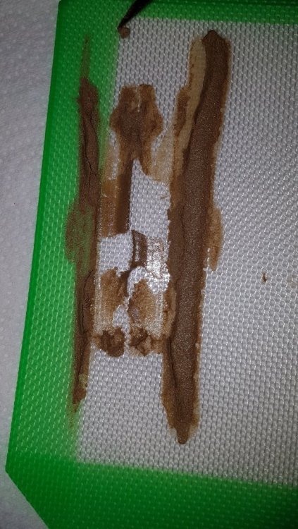 20180308_155906.thumb.jpg.e400cf9bc550154649aab3d1660e4e2d.jpg