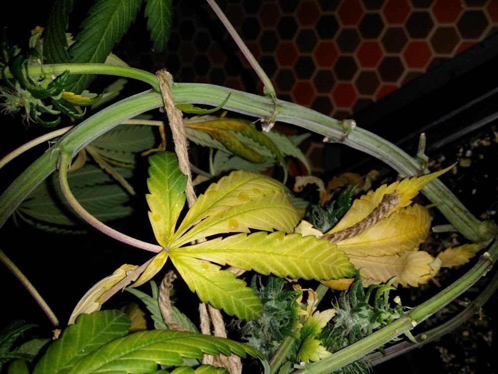 20180323_013105.jpg