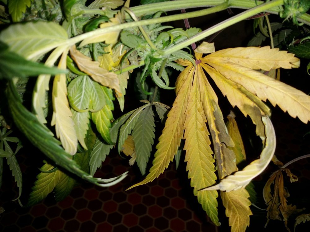 20180323_013113.jpg
