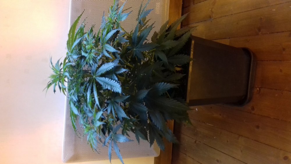 20180323_142943.jpg