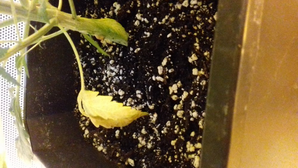 20180323_143052.jpg