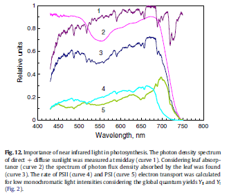 5aa7ce8c2a21f_PSIPSIIelectrontransportrate.png.ae8c92531b539fd8bcc0daf709797320.png