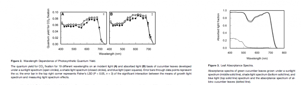 5aa7ce929d229_photosyntheticquantumyelddynamics.thumb.png.adebfd35ecfca70c6f5b6208f4203467.png