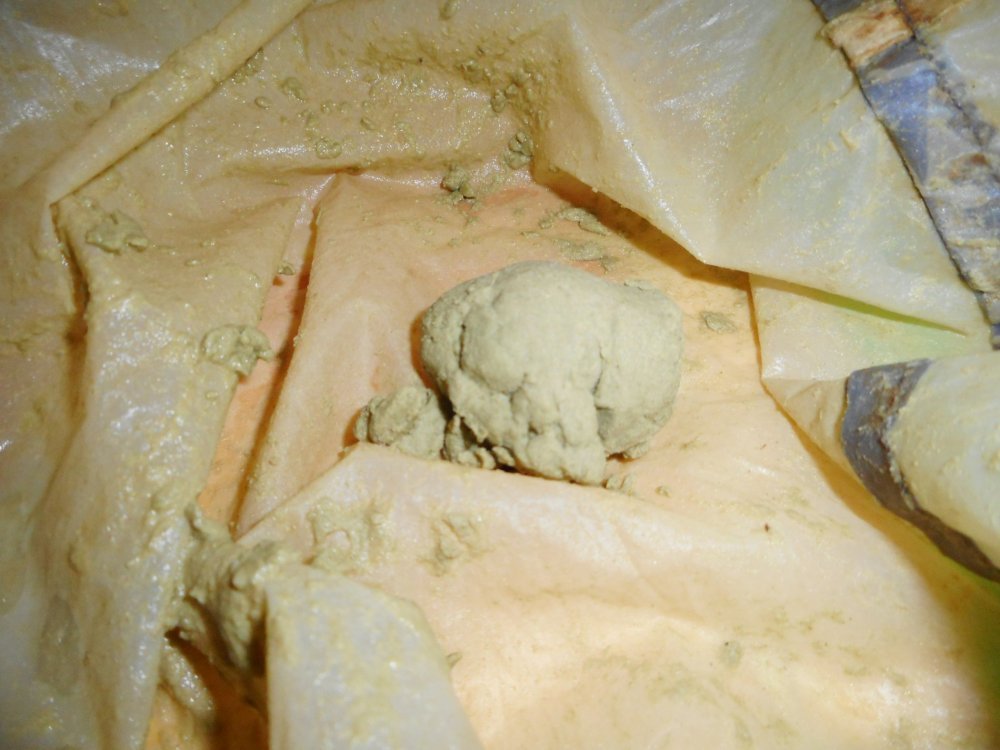 DSCN0179.JPG